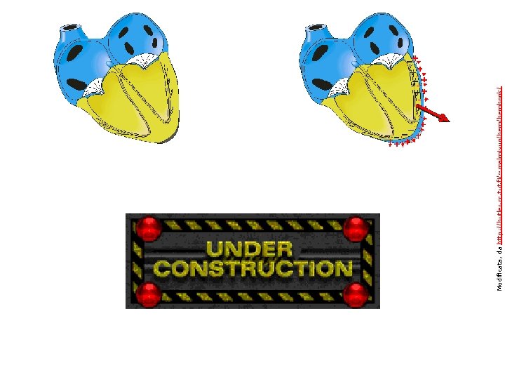 Modificata, da http: //butler. cc. tut. fi/~malmivuo/bembook/ 