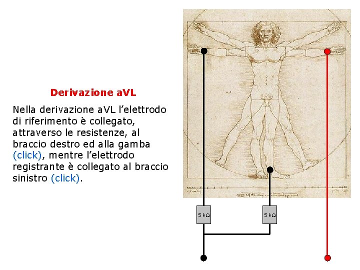 Derivazione a. VL Nella derivazione a. VL l’elettrodo di riferimento è collegato, attraverso le