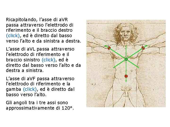 Ricapitolando, l’asse di a. VR passa attraverso l’elettrodo di riferimento e il braccio destro