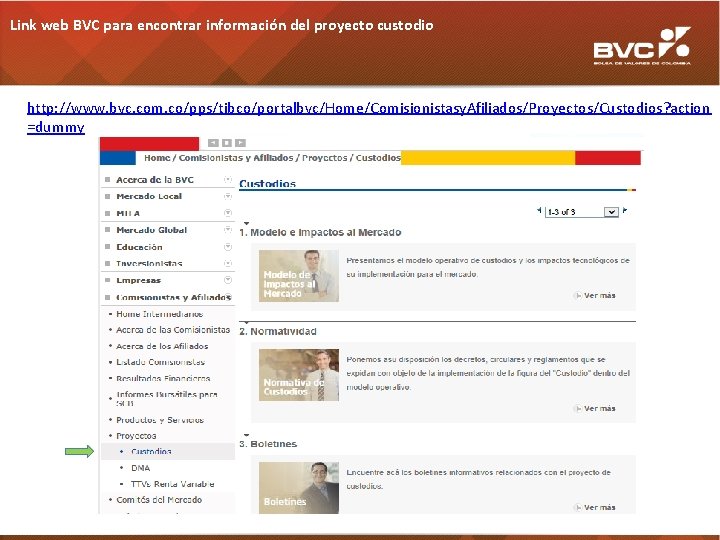 Link web BVC para encontrar información del proyecto custodio http: //www. bvc. com. co/pps/tibco/portalbvc/Home/Comisionistasy.