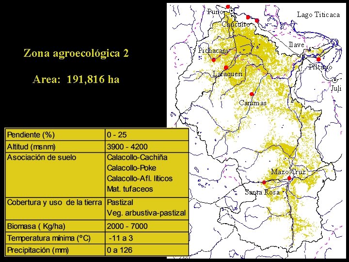 Puno Lago Titicaca Chucuito Zona agroecológica 2 Area: 191, 816 ha Ilave Pichacani Pilcuyo