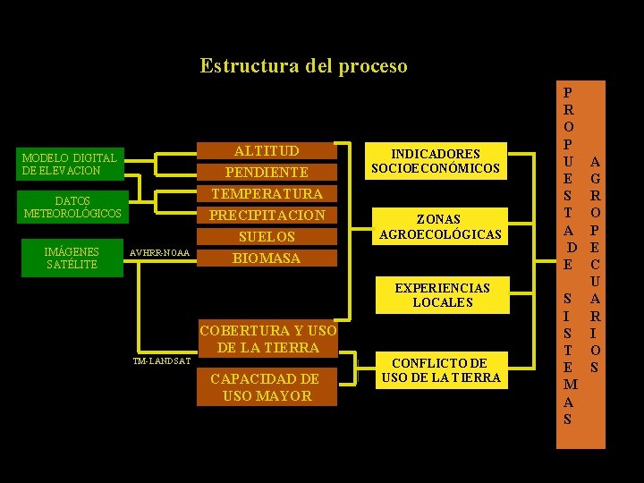 Estructura del proceso DATOS METEOROLÓGICOS ALTITUD PENDIENTE TEMPERATURA PRECIPITACION IMÁGENES SATÉLITE SUELOS BIOMASA MODELO