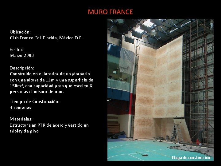 MURO FRANCE Ubicación: Club France Col. Florida, México D. F. Fecha: Marzo 2003 Descripción: