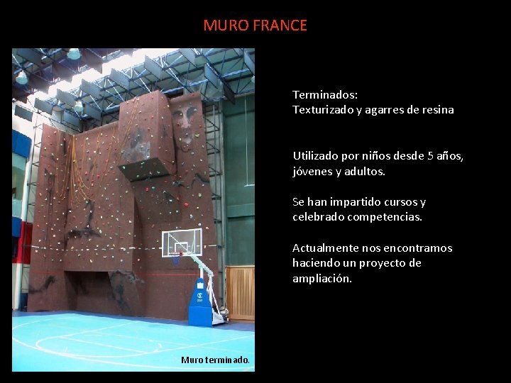MURO FRANCE Terminados: Texturizado y agarres de resina Utilizado por niños desde 5 años,
