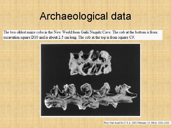 Archaeological data 