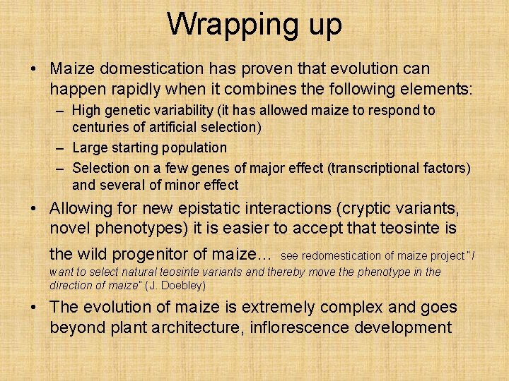 Wrapping up • Maize domestication has proven that evolution can happen rapidly when it