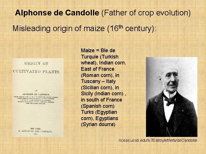 Alphonse de Candolle (Father of crop evolution) Misleading origin of maize (16 th century):