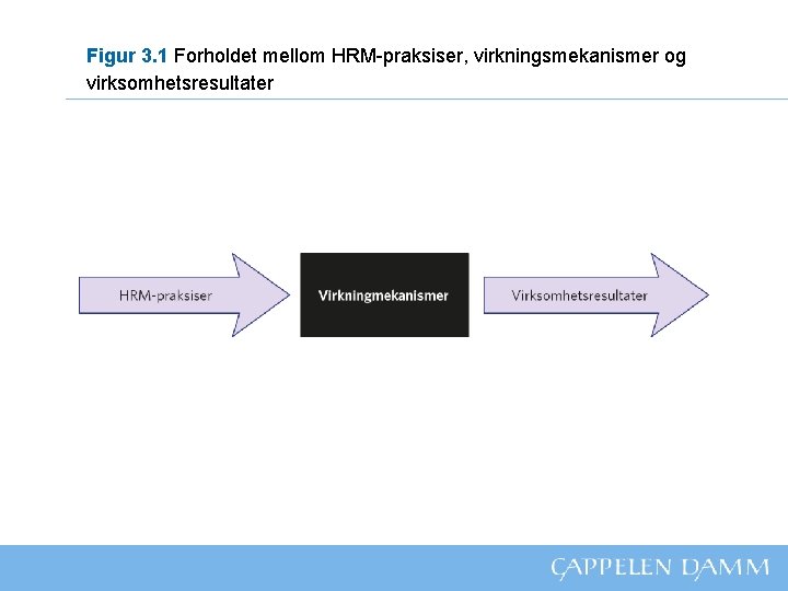 Figur 3. 1 Forholdet mellom HRM-praksiser, virkningsmekanismer og virksomhetsresultater 