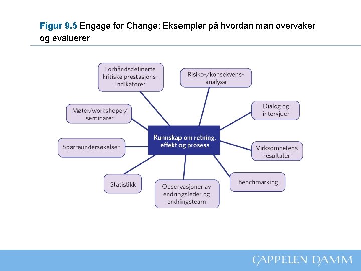 Figur 9. 5 Engage for Change: Eksempler på hvordan man overvåker og evaluerer 