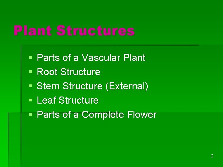 Plant Structures § § § Parts of a Vascular Plant Root Structure Stem Structure