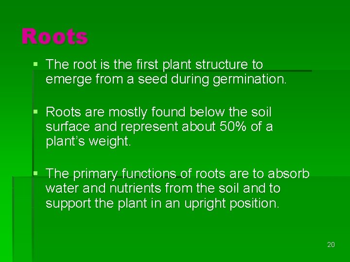 Roots § The root is the first plant structure to emerge from a seed