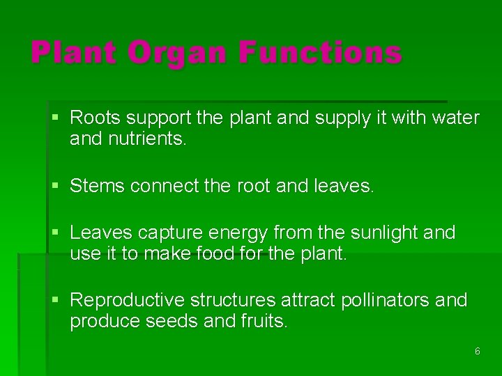 Plant Organ Functions § Roots support the plant and supply it with water and