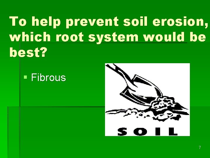 To help prevent soil erosion, which root system would be best? § Fibrous 7