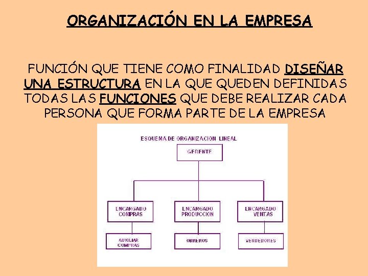 ORGANIZACIÓN EN LA EMPRESA FUNCIÓN QUE TIENE COMO FINALIDAD DISEÑAR UNA ESTRUCTURA EN LA ORGANIZACIÓN EN LA EMPRESA FUNCIÓN QUE TIENE COMO FINALIDAD DISEÑAR UNA ESTRUCTURA EN LA