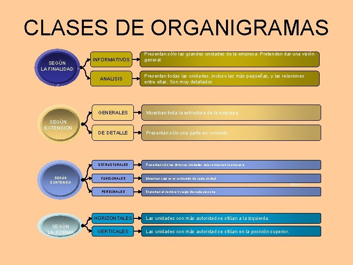 CLASES DE ORGANIGRAMAS SEGÚN LA FINALIDAD INFORMATIVOS ANALISIS SEGÚN EXTENSION SEGÚN CONTENIDO Presentan todas CLASES DE ORGANIGRAMAS SEGÚN LA FINALIDAD INFORMATIVOS ANALISIS SEGÚN EXTENSION SEGÚN CONTENIDO Presentan todas