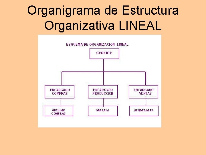 Organigrama de Estructura Organizativa LINEAL Organigrama de Estructura Organizativa LINEAL