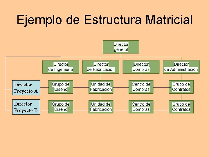 Ejemplo de Estructura Matricial Director Proyecto A Director Proyecto B Ejemplo de Estructura Matricial Director Proyecto A Director Proyecto B