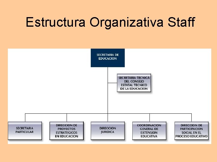 Estructura Organizativa Staff Estructura Organizativa Staff