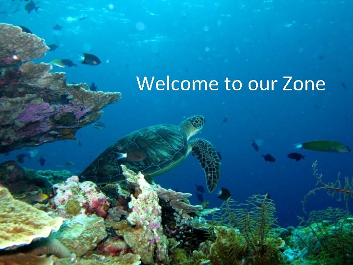Welcome to our Zone Welcome to our Zone