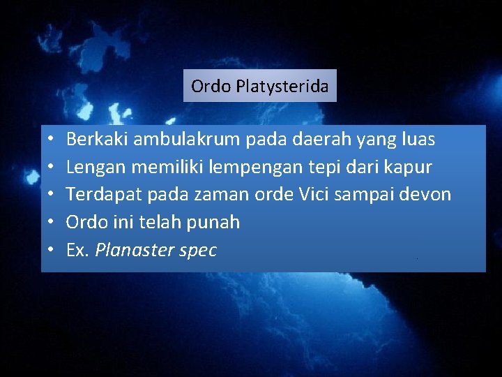 Ordo Platysterida • • • Berkaki ambulakrum pada daerah yang luas Lengan memiliki lempengan Ordo Platysterida • • • Berkaki ambulakrum pada daerah yang luas Lengan memiliki lempengan