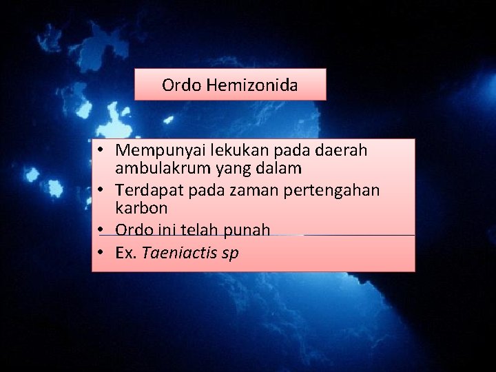 Ordo Hemizonida • Mempunyai lekukan pada daerah ambulakrum yang dalam • Terdapat pada zaman Ordo Hemizonida • Mempunyai lekukan pada daerah ambulakrum yang dalam • Terdapat pada zaman
