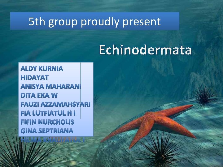 5 th group proudly present Echinodermata 5 th group proudly present Echinodermata