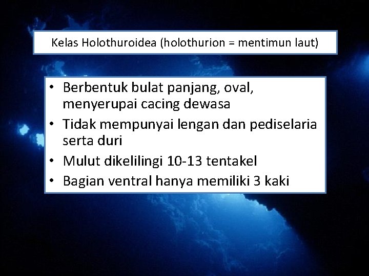 Kelas Holothuroidea (holothurion = mentimun laut) • Berbentuk bulat panjang, oval, menyerupai cacing dewasa Kelas Holothuroidea (holothurion = mentimun laut) • Berbentuk bulat panjang, oval, menyerupai cacing dewasa