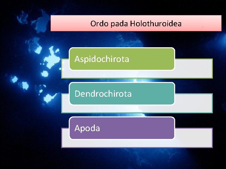Ordo pada Holothuroidea Aspidochirota Dendrochirota Apoda Ordo pada Holothuroidea Aspidochirota Dendrochirota Apoda