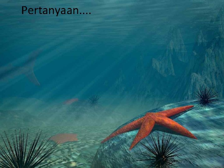 Pertanyaan. . Pertanyaan. .