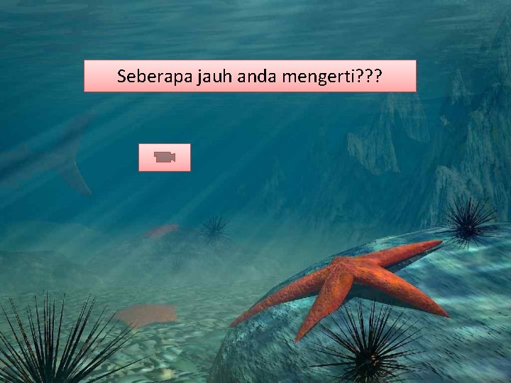 Seberapa jauh anda mengerti? ? ? Seberapa jauh anda mengerti? ? ?