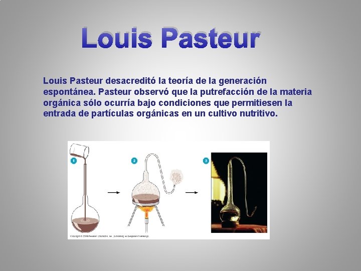 Louis Pasteur desacreditó la teoría de la generación espontánea. Pasteur observó que la putrefacción Louis Pasteur desacreditó la teoría de la generación espontánea. Pasteur observó que la putrefacción
