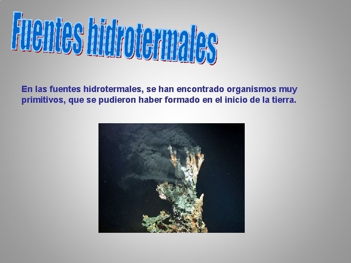 En las fuentes hidrotermales, se han encontrado organismos muy primitivos, que se pudieron haber En las fuentes hidrotermales, se han encontrado organismos muy primitivos, que se pudieron haber