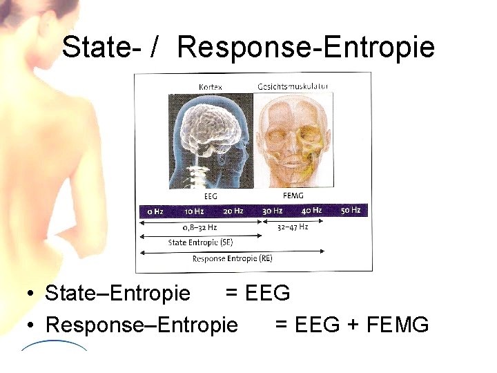 State- / Response-Entropie • State–Entropie = EEG • Response–Entropie = EEG + FEMG State- / Response-Entropie • State–Entropie = EEG • Response–Entropie = EEG + FEMG