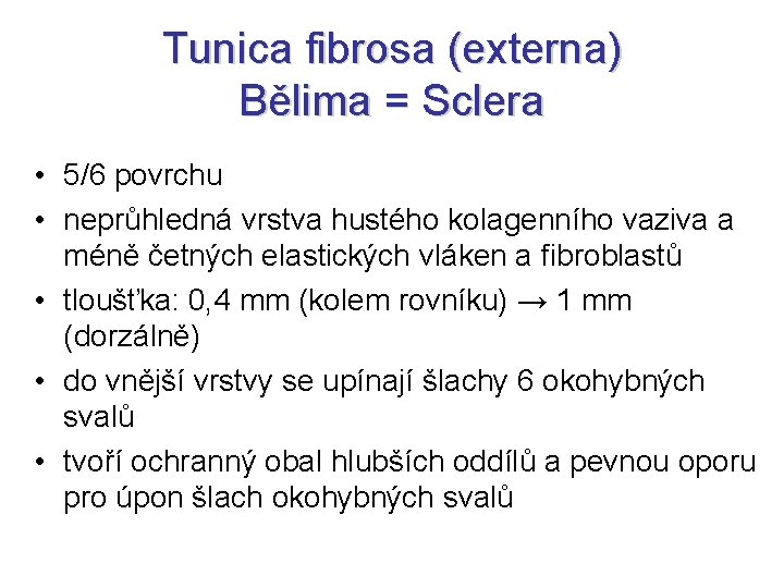 Tunica fibrosa (externa) Bělima = Sclera • 5/6 povrchu • neprůhledná vrstva hustého kolagenního