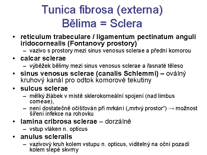 Tunica fibrosa (externa) Bělima = Sclera • reticulum trabeculare / ligamentum pectinatum anguli iridocornealis