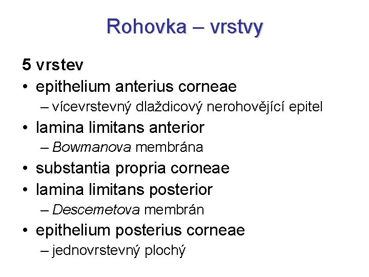 Rohovka – vrstvy 5 vrstev • epithelium anterius corneae – vícevrstevný dlaždicový nerohovějící epitel