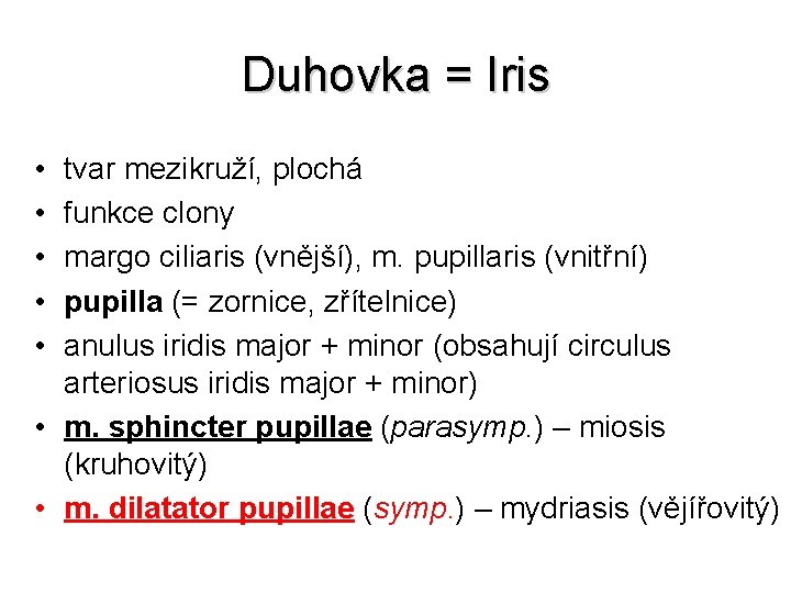 Duhovka = Iris • • • tvar mezikruží, plochá funkce clony margo ciliaris (vnější),