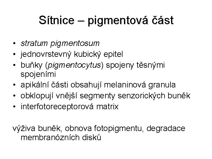 Sítnice – pigmentová část • stratum pigmentosum • jednovrstevný kubický epitel • buňky (pigmentocytus)