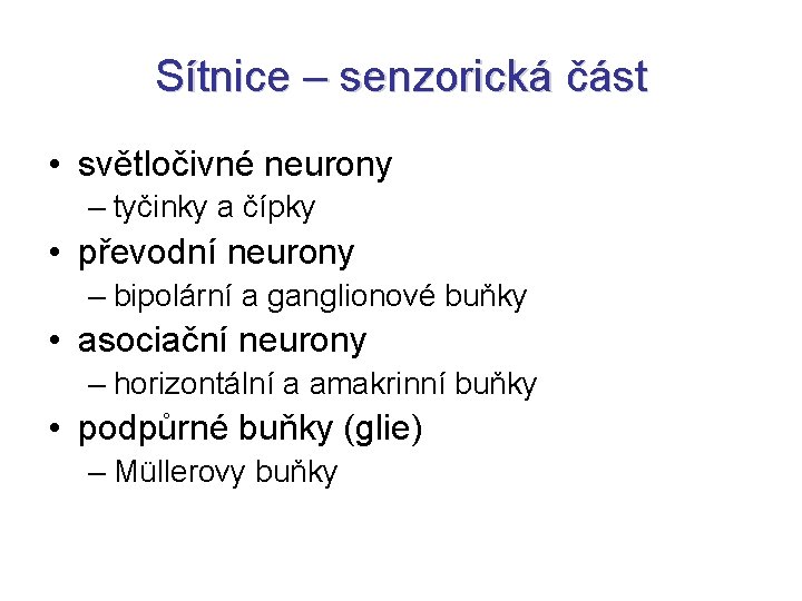 Sítnice – senzorická část • světločivné neurony – tyčinky a čípky • převodní neurony