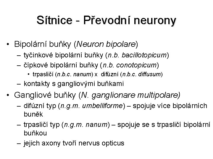 Sítnice - Převodní neurony • Bipolární buňky (Neuron bipolare) – tyčinkové bipolární buňky (n.