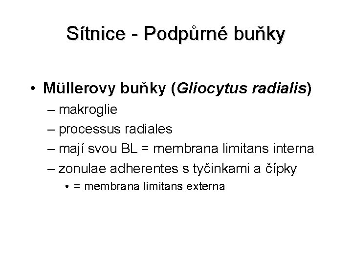 Sítnice - Podpůrné buňky • Müllerovy buňky (Gliocytus radialis) – makroglie – processus radiales