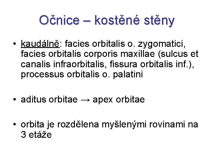 Očnice – kostěné stěny • kaudálně: facies orbitalis o. zygomatici, facies orbitalis corporis maxillae