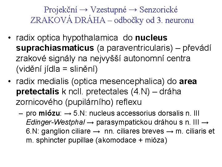 Projekční → Vzestupné → Senzorické ZRAKOVÁ DRÁHA – odbočky od 3. neuronu • radix