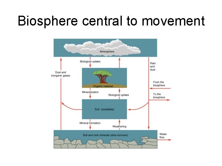 Biosphere central to movement 