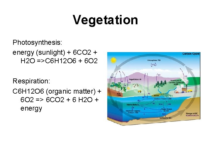 Vegetation Photosynthesis: energy (sunlight) + 6 CO 2 + H 2 O =>C 6