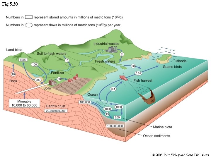 Fig 5. 20 © 2005 John Wiley and Sons Publishers 