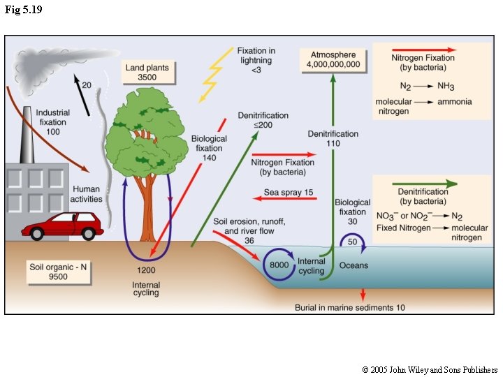 Fig 5. 19 © 2005 John Wiley and Sons Publishers 
