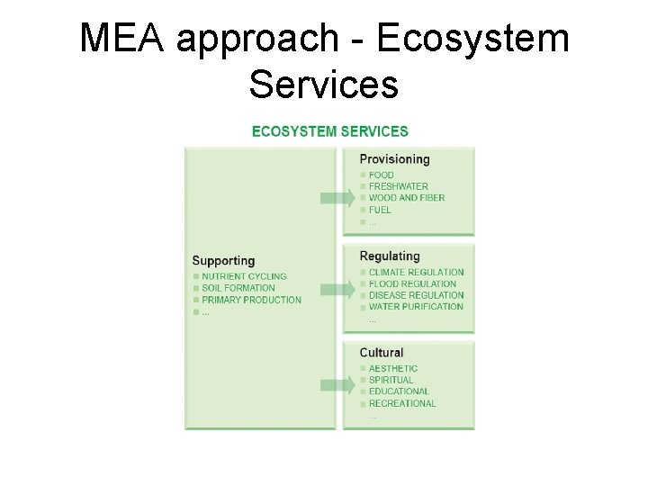 MEA approach - Ecosystem Services 