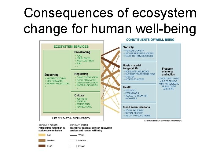 Consequences of ecosystem change for human well-being 