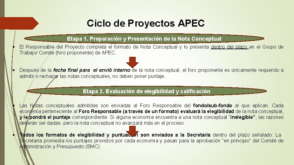 Ciclo de Proyectos APEC Etapa 1. Preparación y Presentación de la Nota Conceptual §